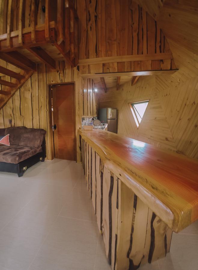 Villa Domos Elohim à Pucón Extérieur photo